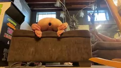Play Cum-Worthy Kinky Poses with Toys and Big Ass